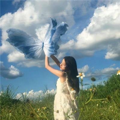 盐湖计划